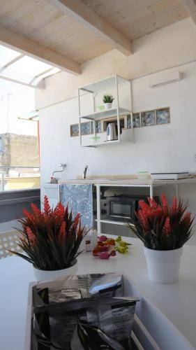 Aura b&b 5