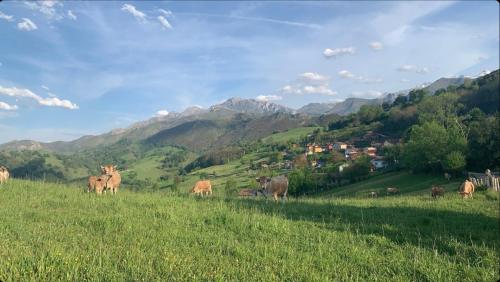 Casa Bellavista gîte à louer Demués