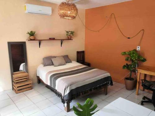 Casa Ámbar - Cozy studio in the heart of Tulum