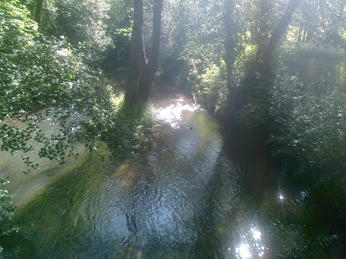 Pensión Cangas de Onis