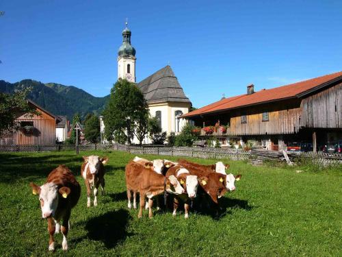 المنظر الخارجي, Gästehaus Weissenbauer (Gastehaus Weissenbauer) in Lenggries