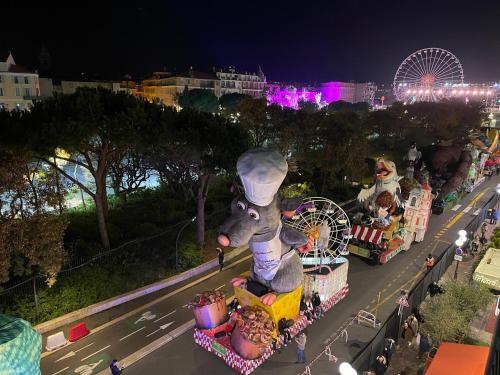 Spacious 3 BR flat Nice center - magnificent view-parking