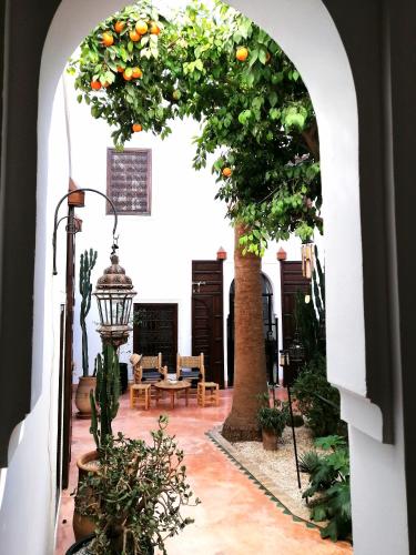 Riad Dar Nouba - Tap to explore photos