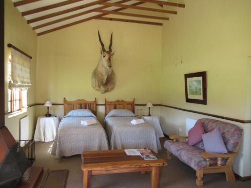 Mountain Pastures Game Lodge in Uniondale