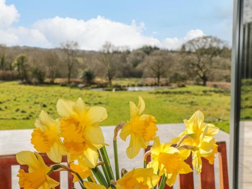 Springfield Farm, Totnes (foto 4)