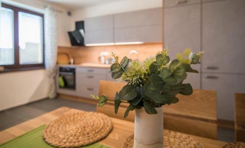 Astra Lipno in Frymburk