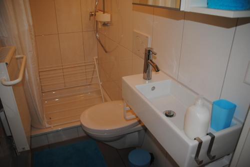 Tuš, Ferienwohnung Grutter in Uri