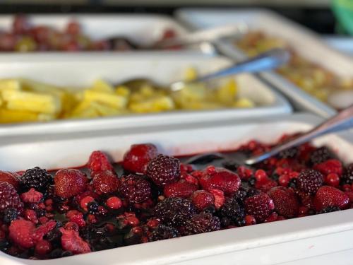 348010649 GAIA Hotel Basel - the sustainable 4 star hotel