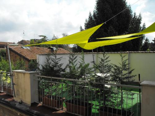  Una Notte al Museo in Ferrara