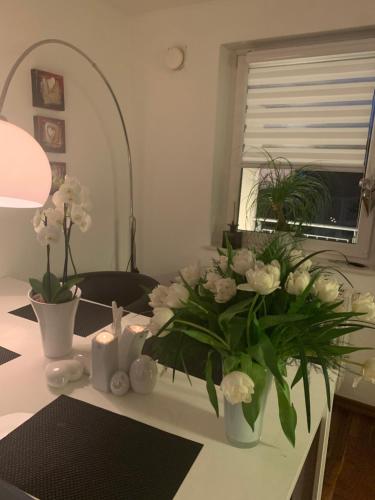 Large Two-Bedroom Apartment