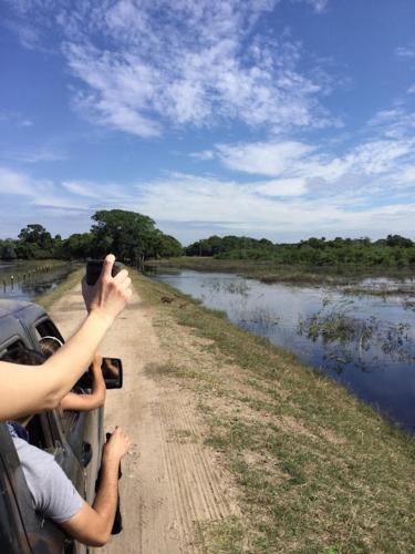 Spot Jaguar Pantanal South- Camping Wild Jaguar Tour