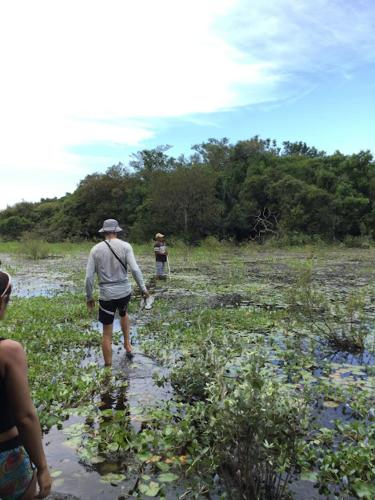 Spot Jaguar Pantanal South- Camping Wild Jaguar Tour