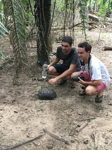 Spot Jaguar Pantanal South- Camping Wild Jaguar Tour