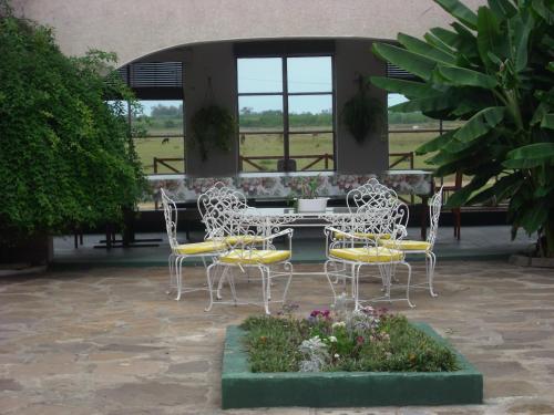 ระเบียง/ชานเรือน, Estancia El Rosario in เมโล