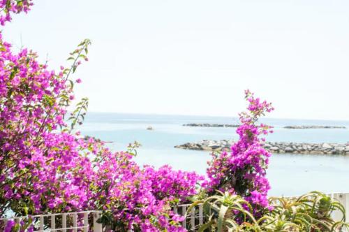  Regis Home CITRA 00855LTN1108 in Sanremo