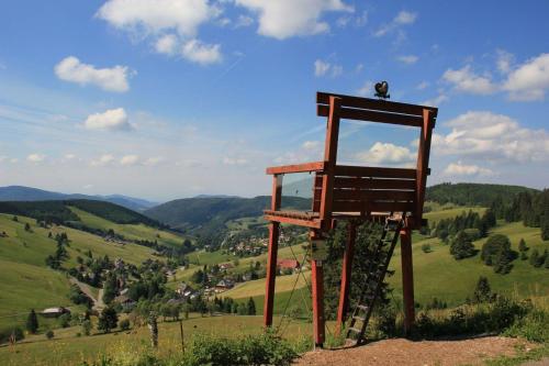 Ferienwohnung-Feldberg-in-der-Pension-Gloecklehof