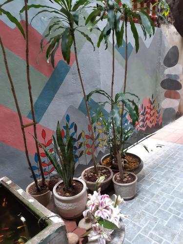 Tonkin Homestay photo 1
