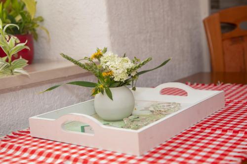 Apartman Žagar
