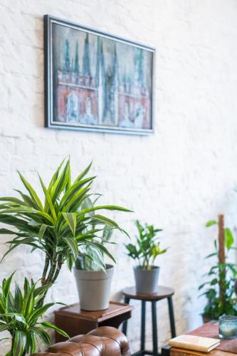 共用Lounge/電視區