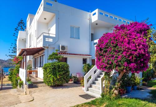 Giannis & Maria Gramvousaki Apts 5