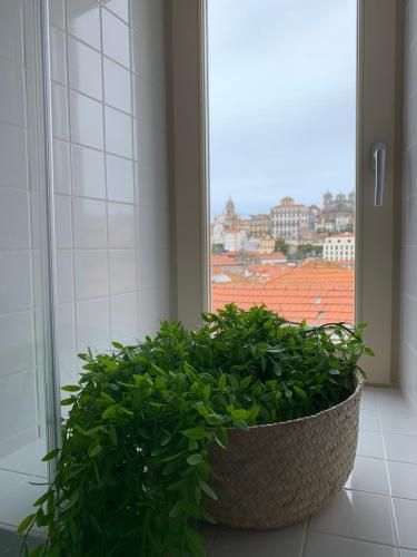 포르투 로스트 인 포르투 호스텔 (Lost Inn Porto Hostel) 2성급 호텔 수영장