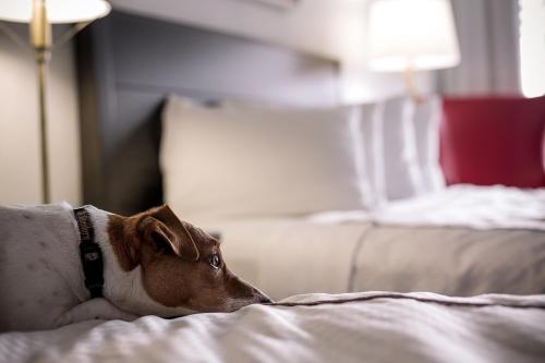 Capitol Hill Hotel in Washington, USA