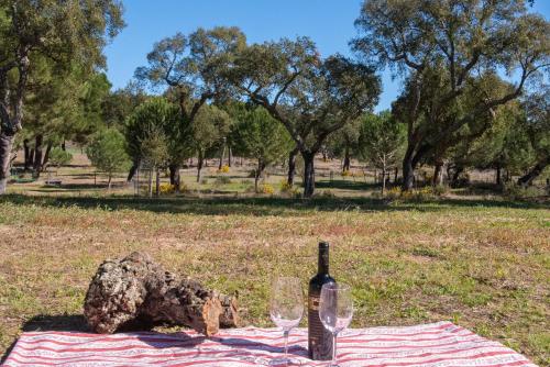 Herdade das Onzenas de Cima