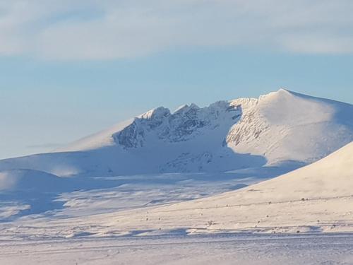 . Snøhetta Camping