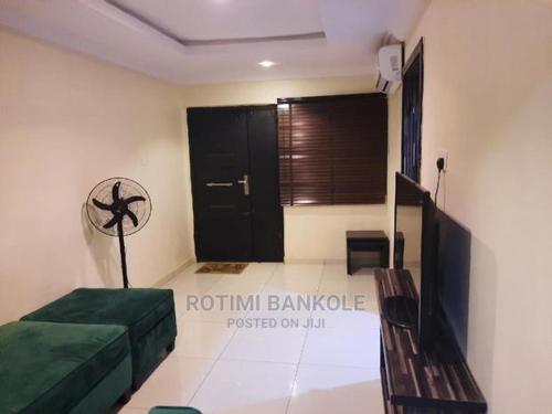 2 bedroom luxury apartment ikeja ag photo