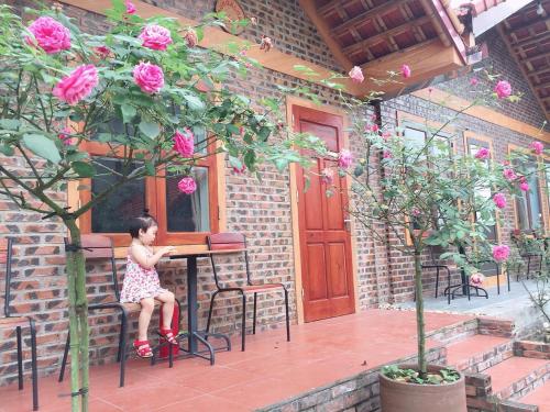 Tam Coc Tropical Homestay in Ninh Bình