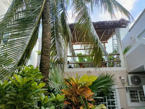 Kika Studios - Puerto Morelos