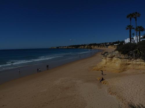 Casa Flora Praia da rocha