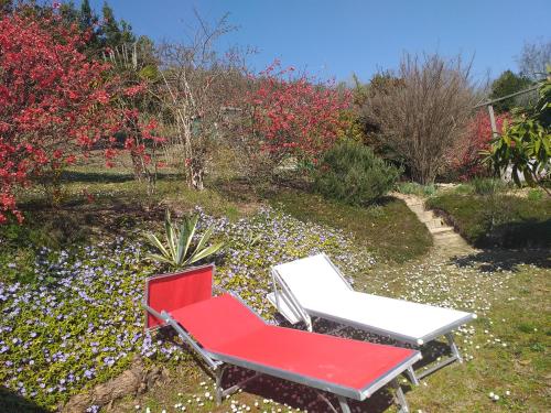 Skats, B&B le Villette Predappio in Predappio