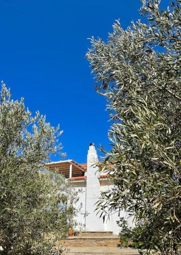 Gorgeous private Villa with sea view!, Ándros (fotografie 3)