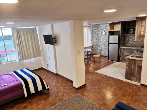 Suite Estudio