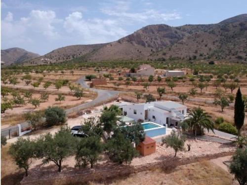  Traditional Spanish cave house in Alguena, Pension in Algueña bei La Zarza