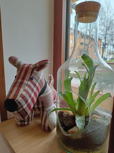 Foresteria Sirio - image 9