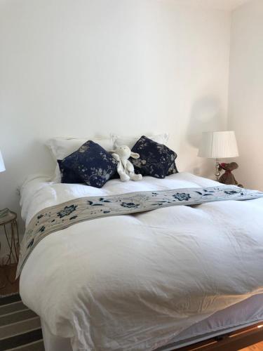 Villa-sleeps2-garden-private park gîte à louer Camacha