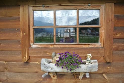 Pension Hof zur Stilli Pension Hof zur Stilli