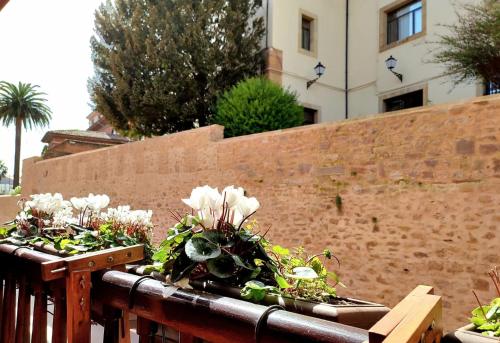  Nuevo-Casco Histórico-Parking gratuito. in Oviedo