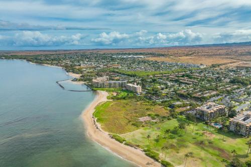 Koa Resort