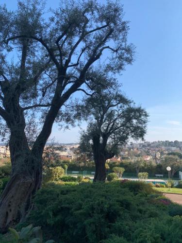 Surrounding environment, Studio with a panoramic view at the top floor of a residence with a pool in La Pagane