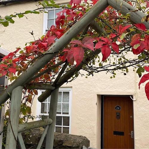 Lotte’s Cottage - Bideford