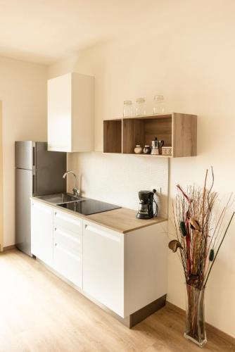 BORGOROMA - Business & Residence