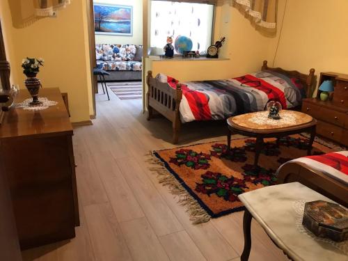 Laku Apartment - At The Heart of Tirana, Tirana (fotografie 7)