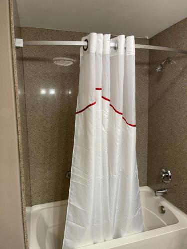 Red Roof Inn & Suites Detroit - Melvindale/Dearborn - image 7