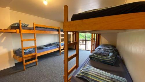 Bunk Bed in Female Dormitory Room 