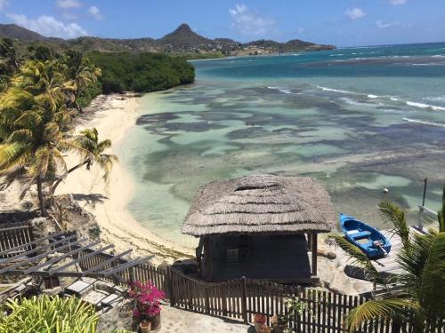 Exclusive Beachfront Eco studio in Saint Patrick