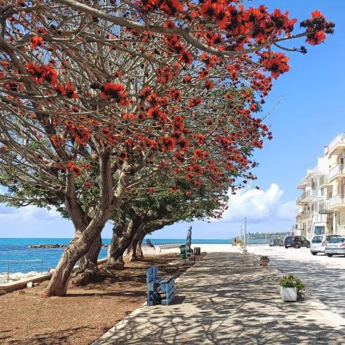 Palinuro gîte à louer Sciacca
