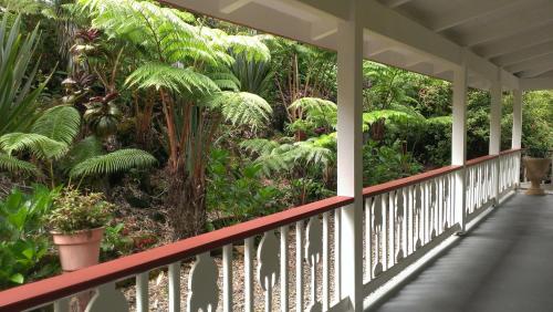 Chalet Kilauea in โวลคาโน